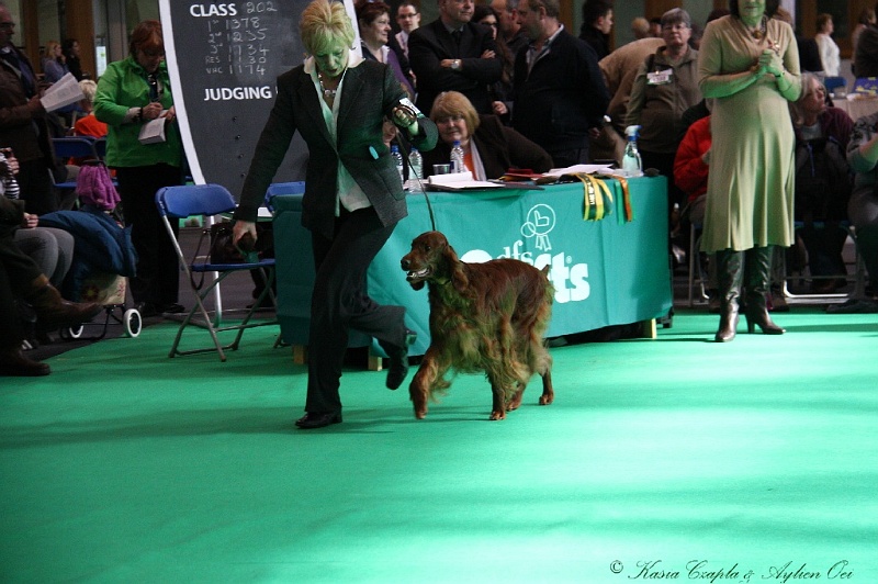 Crufts2011 770.jpg